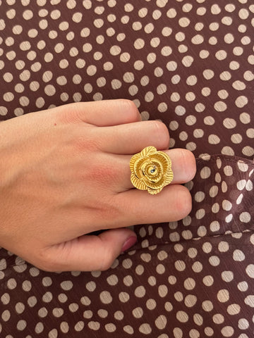 Anillo spring