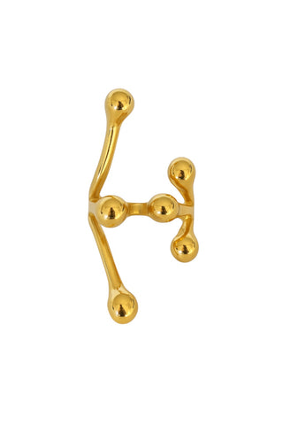 Anillo lianas