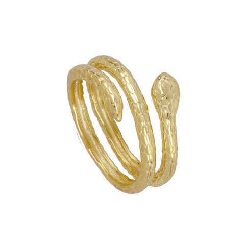 Anillo serpiente