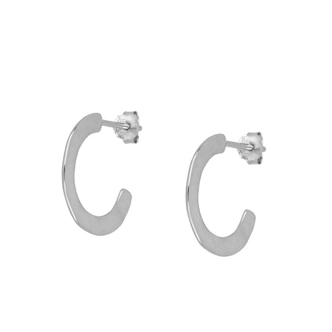 Pendientes Guinea plata