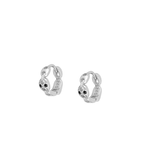 Serpiente plata